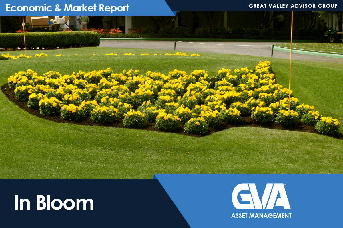 Featured image for “In Bloom”